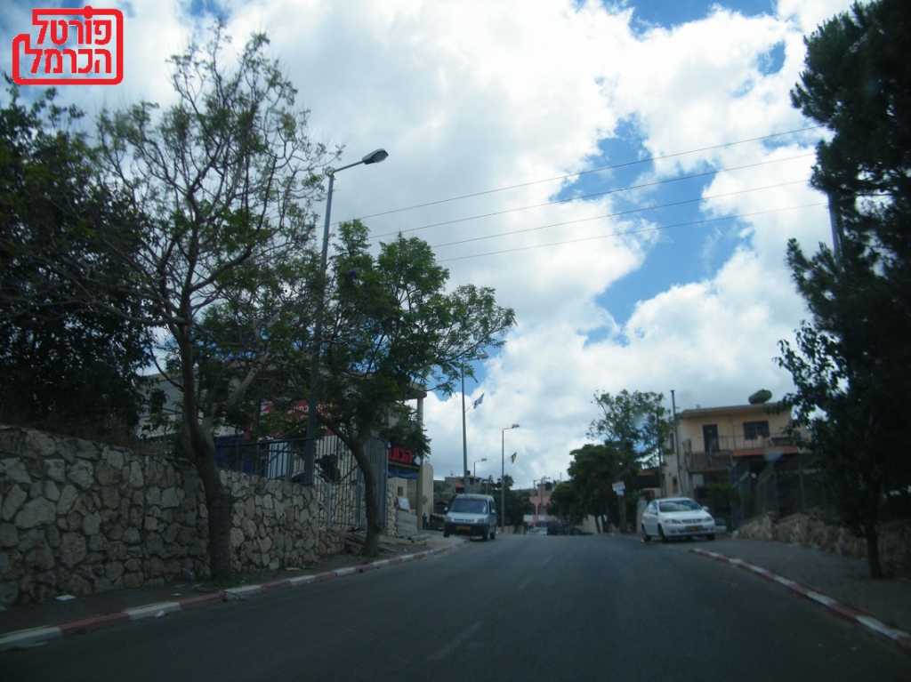 פורטל הכרמל