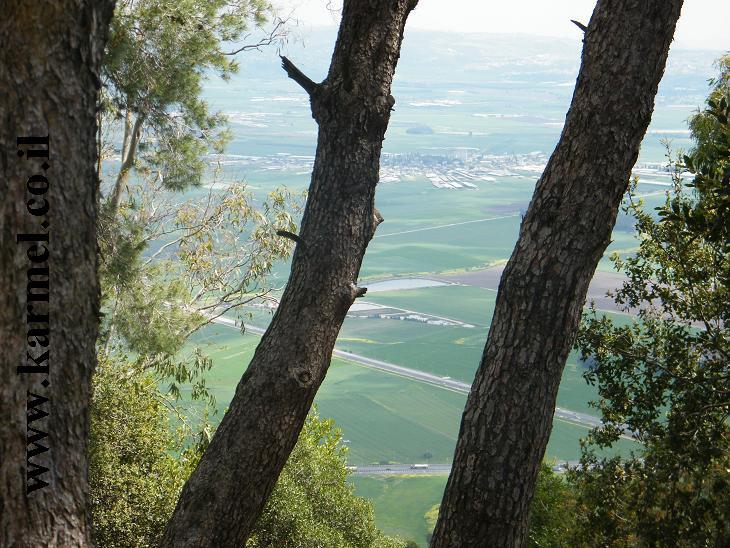 הציבור מתלונן הרשויות והמשרדים לא תמיד מקשיבים