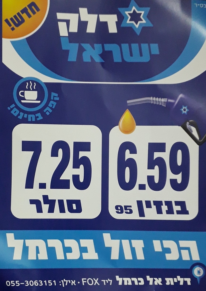 פורטל הכרמל